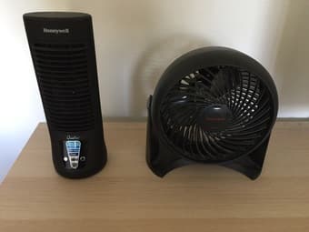Fans 1