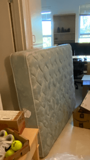 Seally Posturepedic Voyages Queen Mattress 1