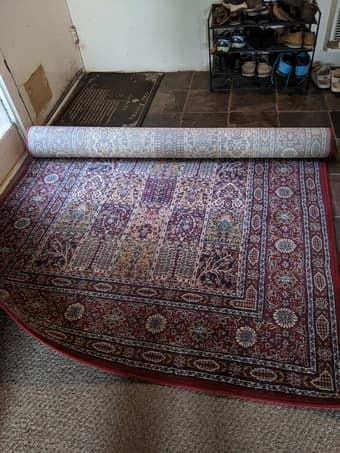 Area Rug + Memory Foam Mattress topper 1