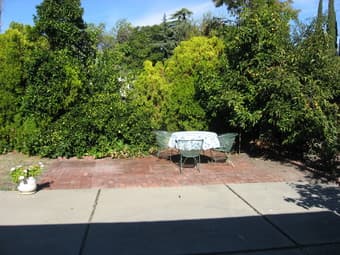 Palo Alto 3/2 house in a very quiet and nice neighborhood 2