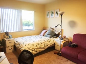 1375/month private room near stanford! FREE FURNITURES! 1