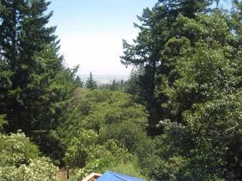 Treehouse in clouds HUGE 18'x24' w/ vaulted ceilings & large windows 1