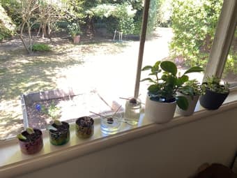 Large bedroom in Palo Alto/Menlo Park 4