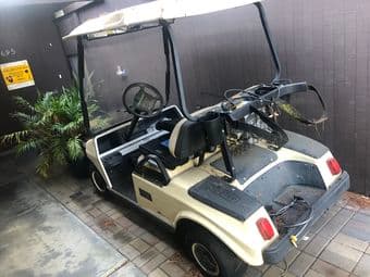 electric golf cart 1