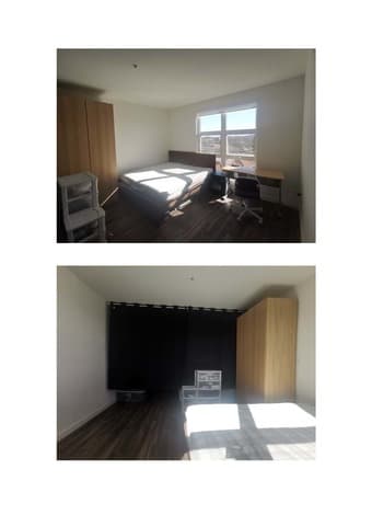 Safety sunny divided room in Downtown Redwood City, Now to Sept 2021 2