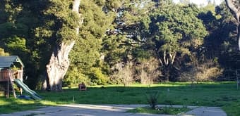 2 bedrooms 1 bath in Atherton home with massive yard 1
