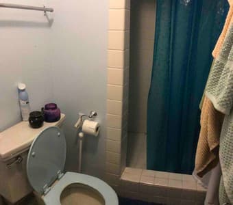 Master Bedroom and Private Bath in Menlo Park Available Jan 15 3