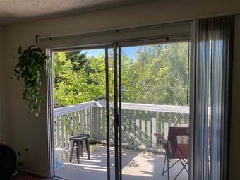 Sunny, spacious studio in Sunnyvale from March 1