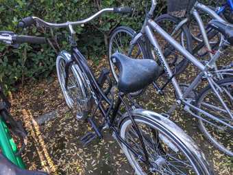 Bike for sale - 24'' in ok condition 1