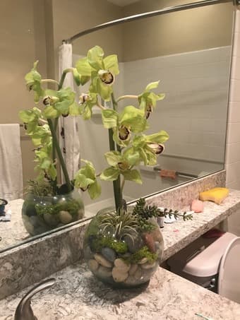 Decorative Plant 1