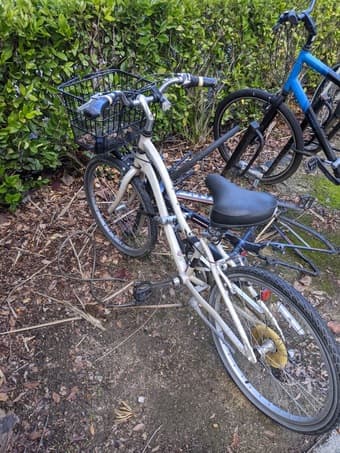 Schwin bike for sale 1