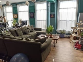 Room in a large, bright communal apartment in the Mission! 1