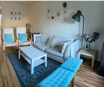 FS 2 turquoise velvet benches - $70 1