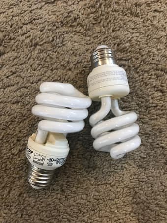 Light Bulb 1