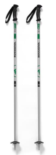 Hiking of Skiing Sticks 1