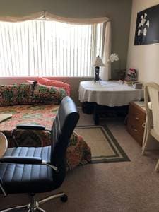 Bright Sunny Parkside Room Furnished Palo Alto Spotless! 1