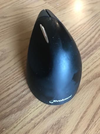 Ergonomic PC Mouse 1