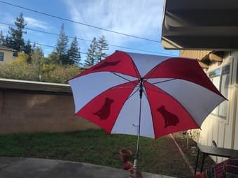 Umbrellas for the rainy days 1