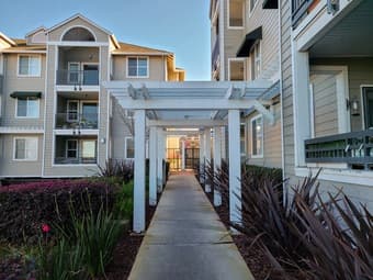 Your Own 1 Bedroom Condo For Rent 1