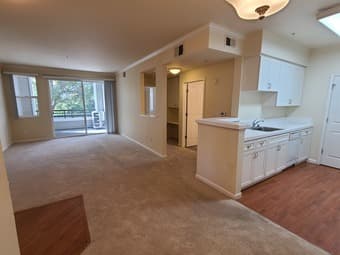 Your Own 1 Bedroom Condo For Rent 2