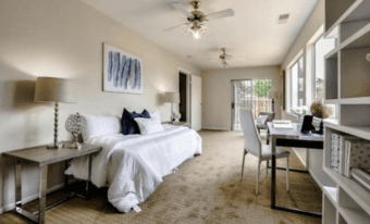 Elegant, brand new & modern 1 BR unit, 10 minutes from Campus - $2,45 1