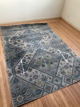 Large Rug, very lightly used 1