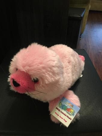 Flipflops, stuffies etc 3
