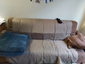 Sofa free 1