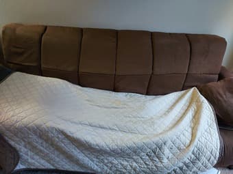 Sofa free 2
