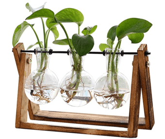 Air Planter Bulb Glass Vase 1