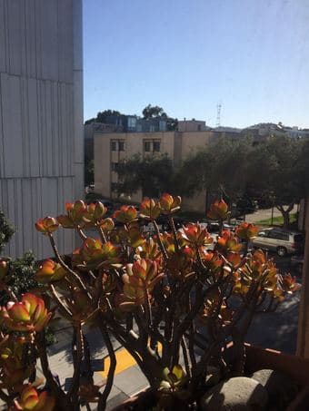 Sublet studio in Hayes Valley, San Francisco for a week (4/8-4/15) 3