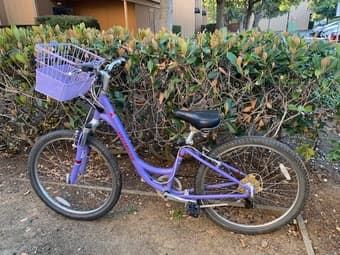 Womens Trek Comfort Bike 1