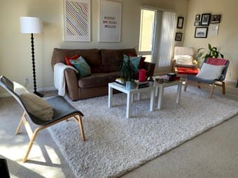 White Shag Rug - heavy discount 1