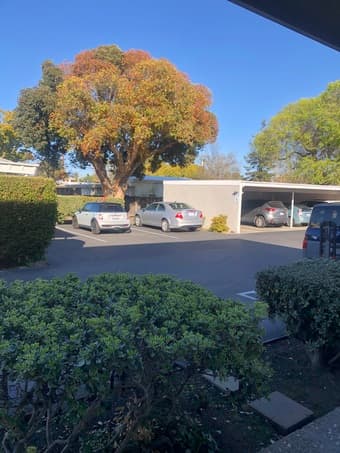 1bd in 2bd/1ba apartment in Palo Alto-$1270. Utilities included. 2