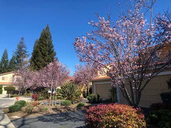 3 Rooms Available in 4BR/3BA RWC House -bike 2 Stanford [Female Only] 4
