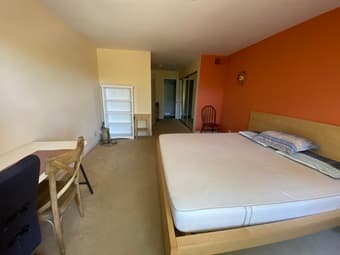 Big Furnished Master Suite (w/ Bath) in 2b2b Mountain View Apt 2
