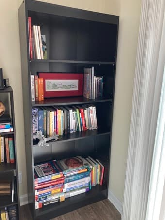 Tall Bookshelf 1
