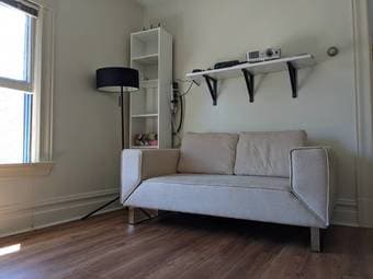 Mid-Century Sleeper Sofa 2