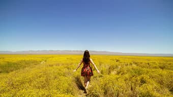 Professional photographer- stunning photos 1