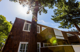One bedroom in 2B1B apt in Sunnyvale 4 min from Caltrain, pet friendly 2