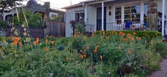 Room in a spacious 2BR house in RWC - $1,500 1
