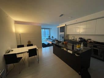 1BR Flex in SF East Cut high-rise for summer internship 1