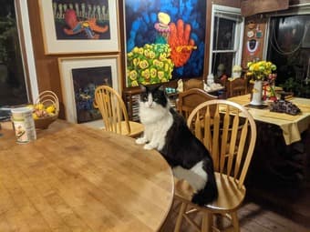 room for rent@menlo park (~3 miles stanford) 2