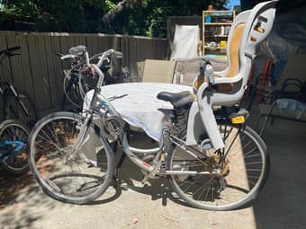 Bicycle with child carrier 1