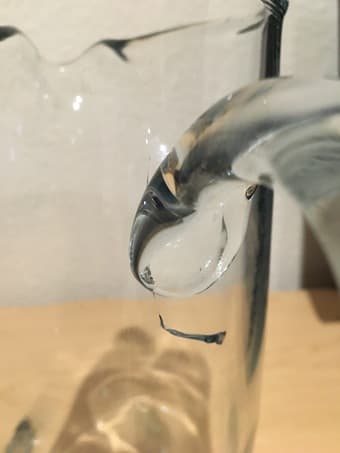 Glass Pitcher 2