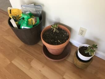 Plant pots, gardening supplies, patio chairs 1