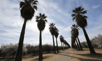 Ride to southern California, June 12th 1