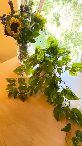 Faux pothos in ceramic white pot 1