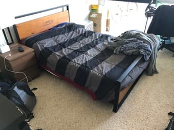 Bed, Couch, Dining Table Set, Coffee Table, Plants, and lamp! 1