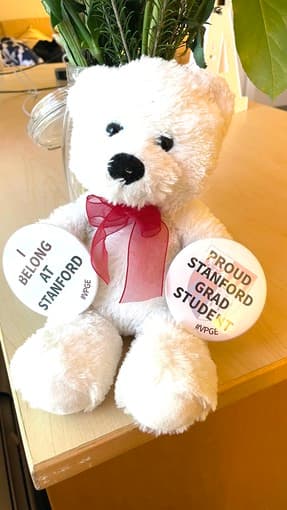 Stanford graduate bear 1